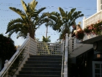 P3080104