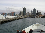 Whale Watching, San Diego Harbor, Jan 24, 2004 (P1240205)