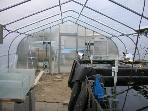 May 3 2009 (200905030196)