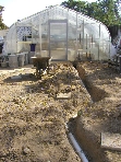 Jun 28 2009 (200906280387)