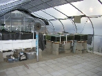 Aug 1 2009 (200908010419)