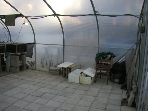 Aug 1 2009 (200908010420)