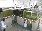 Aug 9 2009 (200908090425)