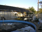 October 10, 2008 (200810120920)