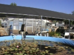 200809210871