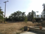 August 8, 2007