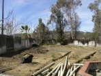 March 4, 2007 (200703040080)