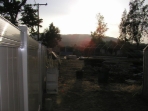May 5, 2008 (200805050341)