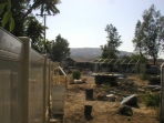 July 3, 2008 (00807030559)