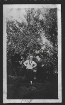1918 (SM0015 1918A)