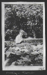 1917 (Sm0016 1917c)