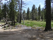P6040236