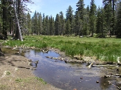 P6040238