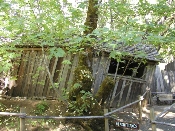 House of Mystery, Gold Hill, Oregon, August 8th, 2005