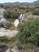 Wildflowers in Anza-Borrego (March 27, 2005)